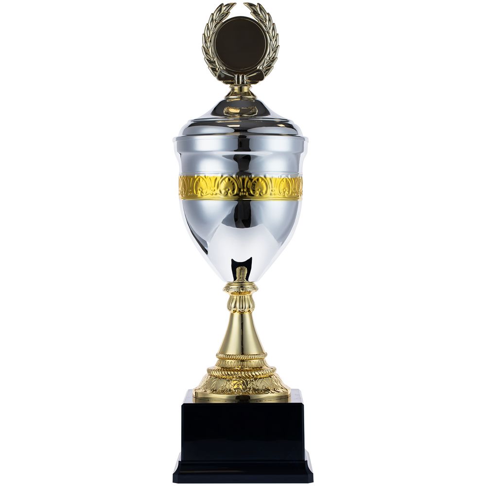 Кубок EnterPrize, серебристый / Миниатюра WWW (1000)