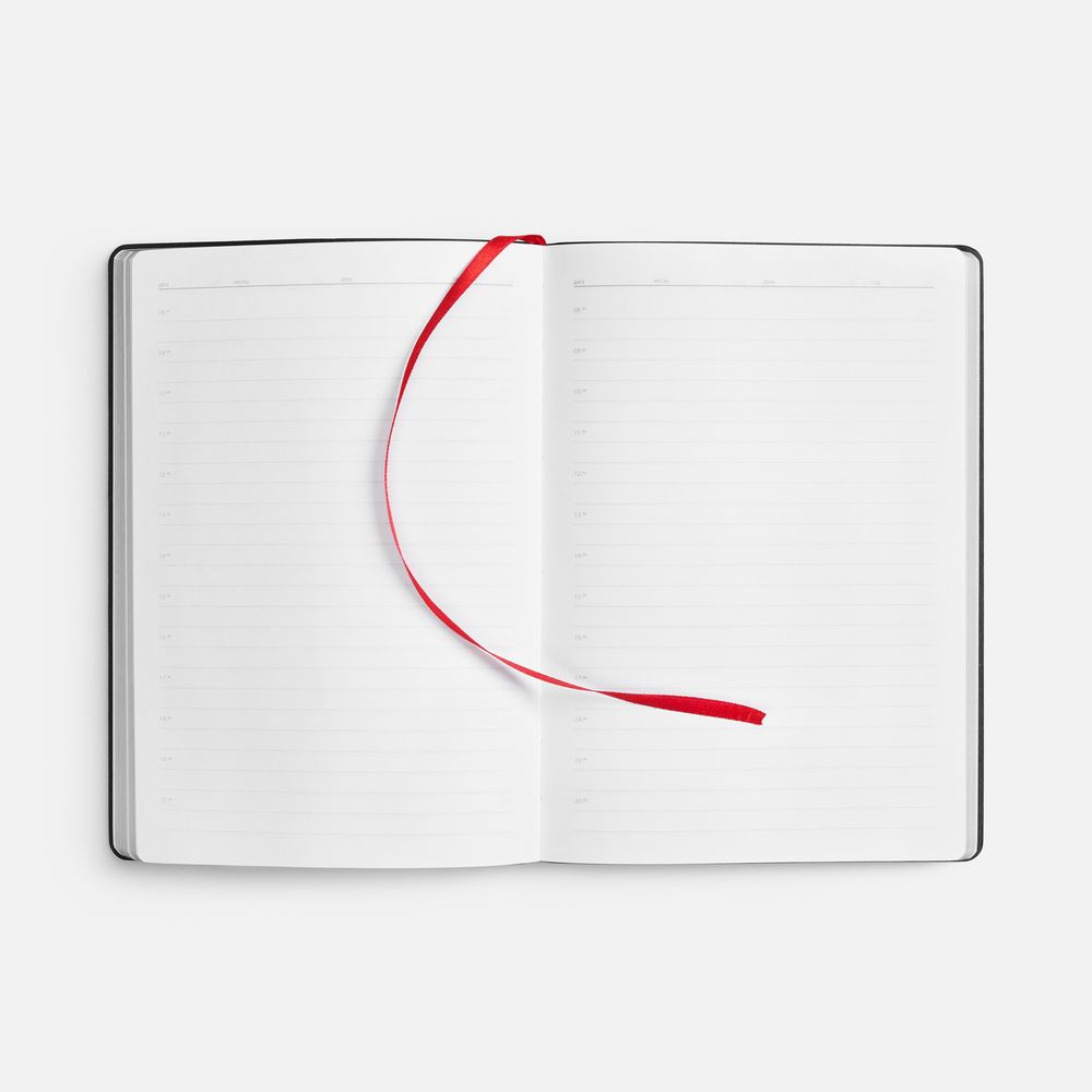 Ежедневник Nebraska Flex, недатированный, красный с золотистым / Миниатюра WWW (1000)