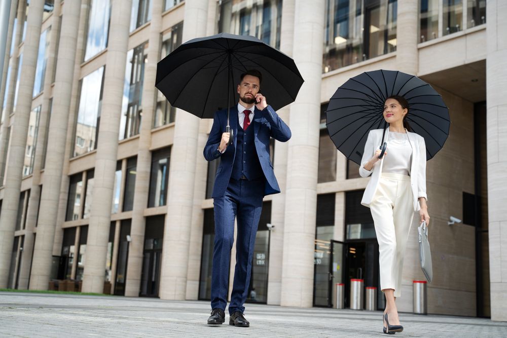 Зонт-трость Lui, черный / Миниатюра WWW (1000)