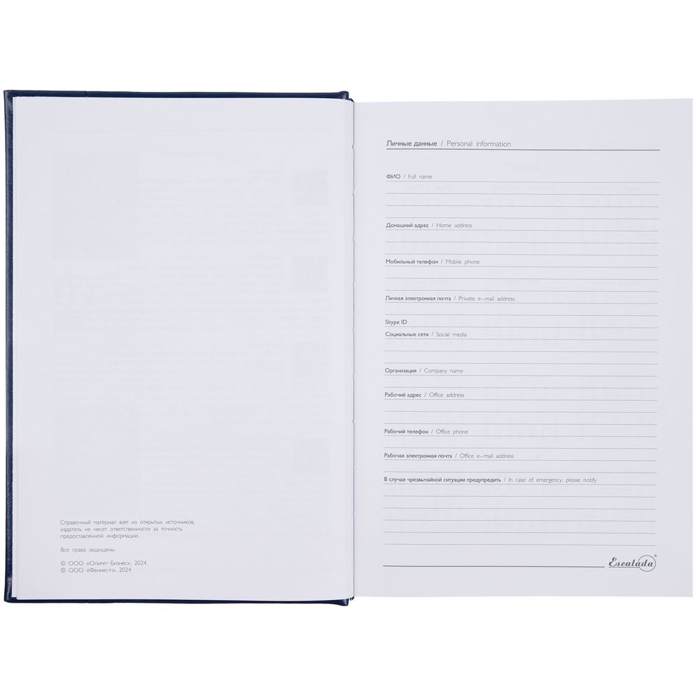 Ежедневник Baza, датированный, синий / Миниатюра WWW (1000)