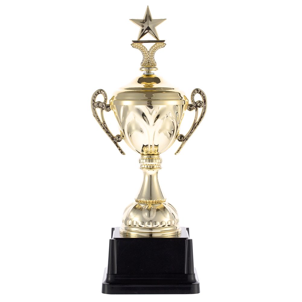 Кубок Top Star, золотистый / Миниатюра WWW (1000)