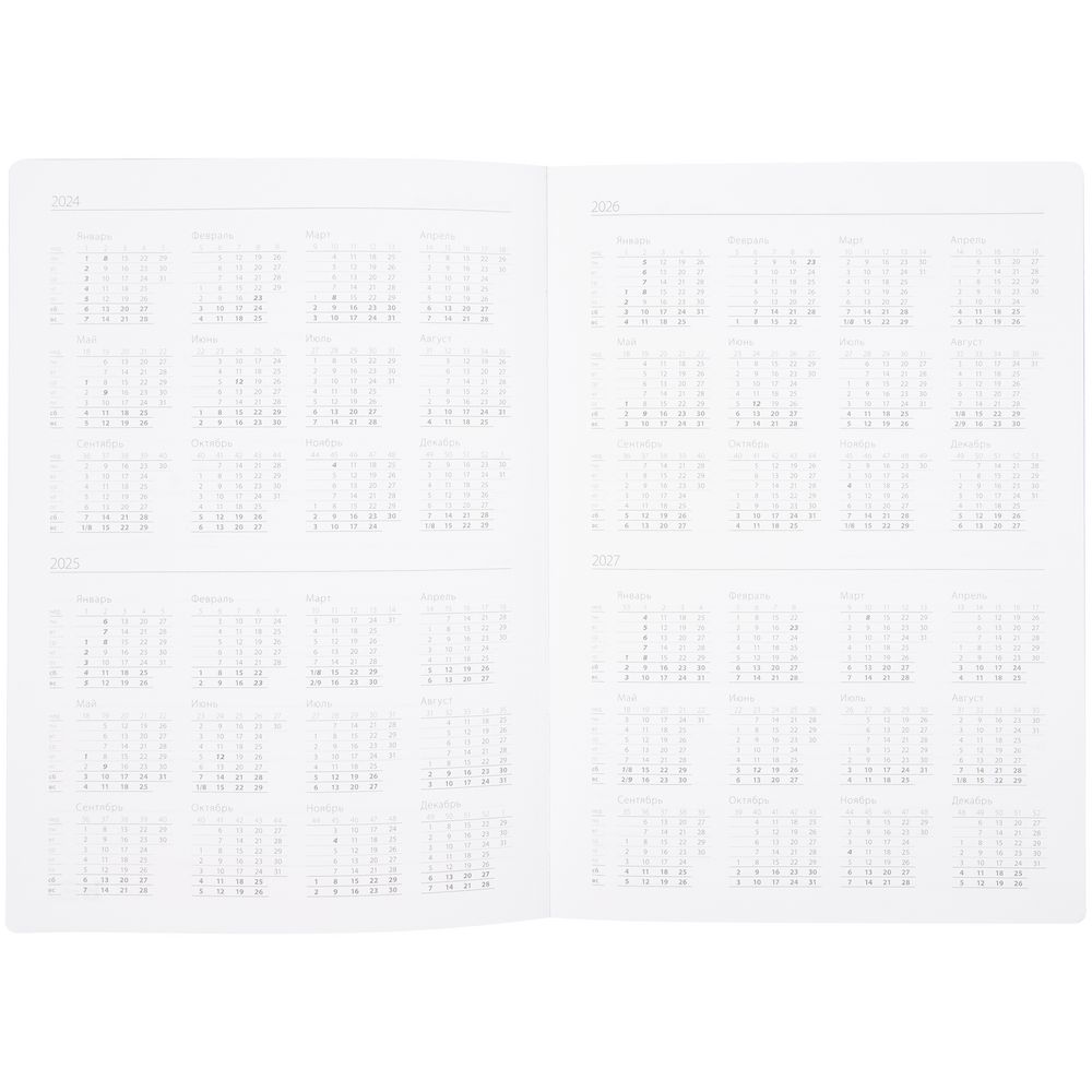 Ежедневник Nebraska Flex, недатированный, синий с золотистым / Миниатюра WWW (1000)