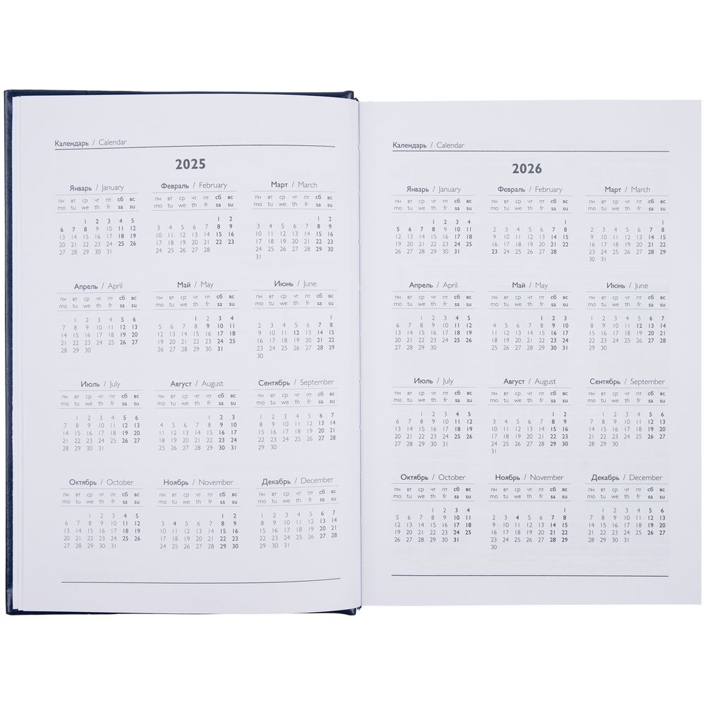 Ежедневник Baza, датированный, синий / Миниатюра WWW (1000)