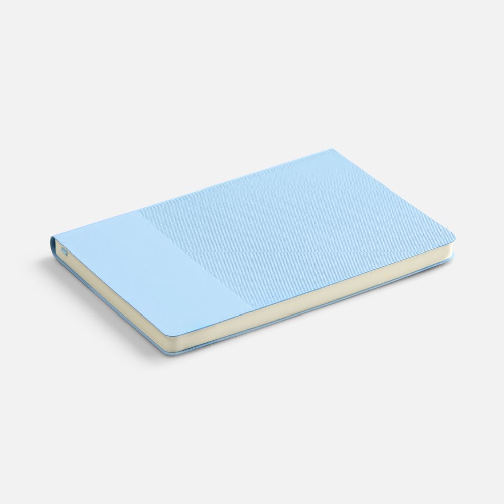 Ежедневник Vale New, недатированный, голубой / Миниатюра WWW (1000)