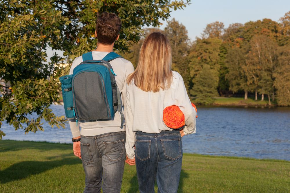 Плед для пикника Comfy, красный / Миниатюра WWW (1000)