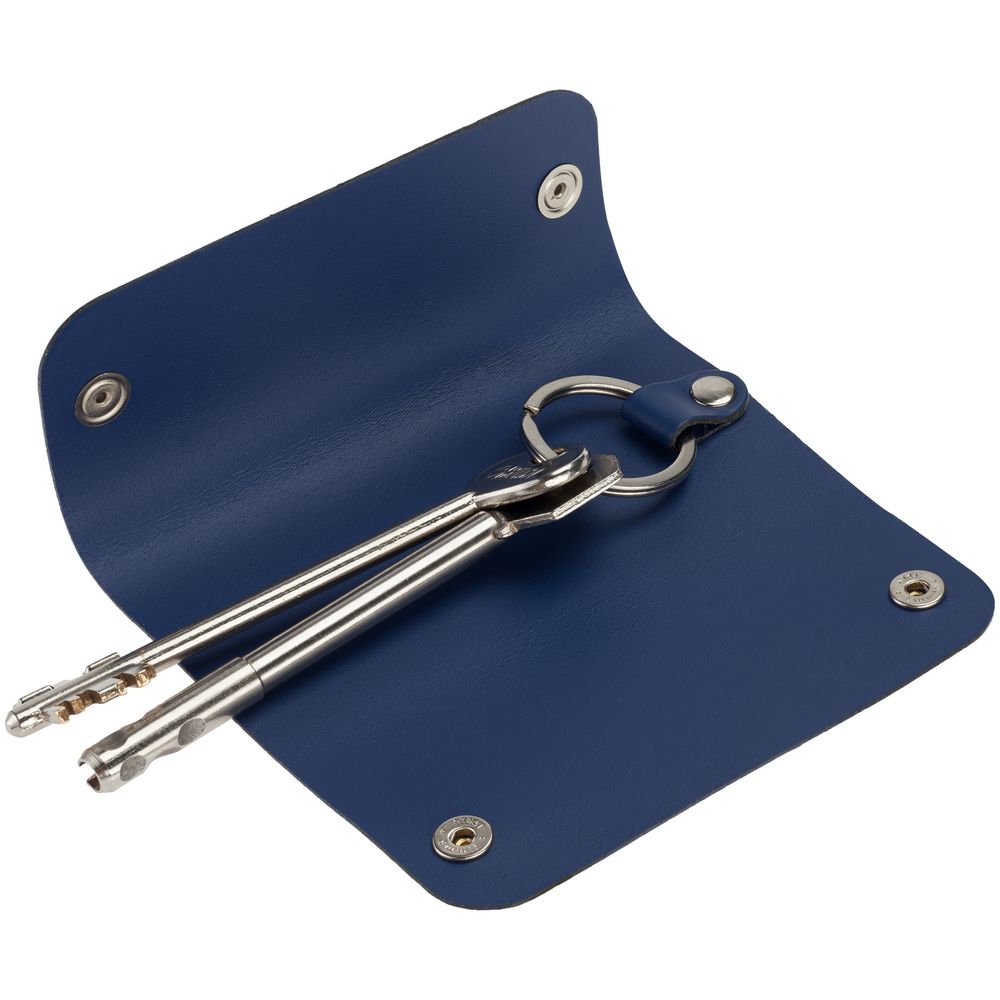 Набор Salamander, синий / Миниатюра WWW (1000)