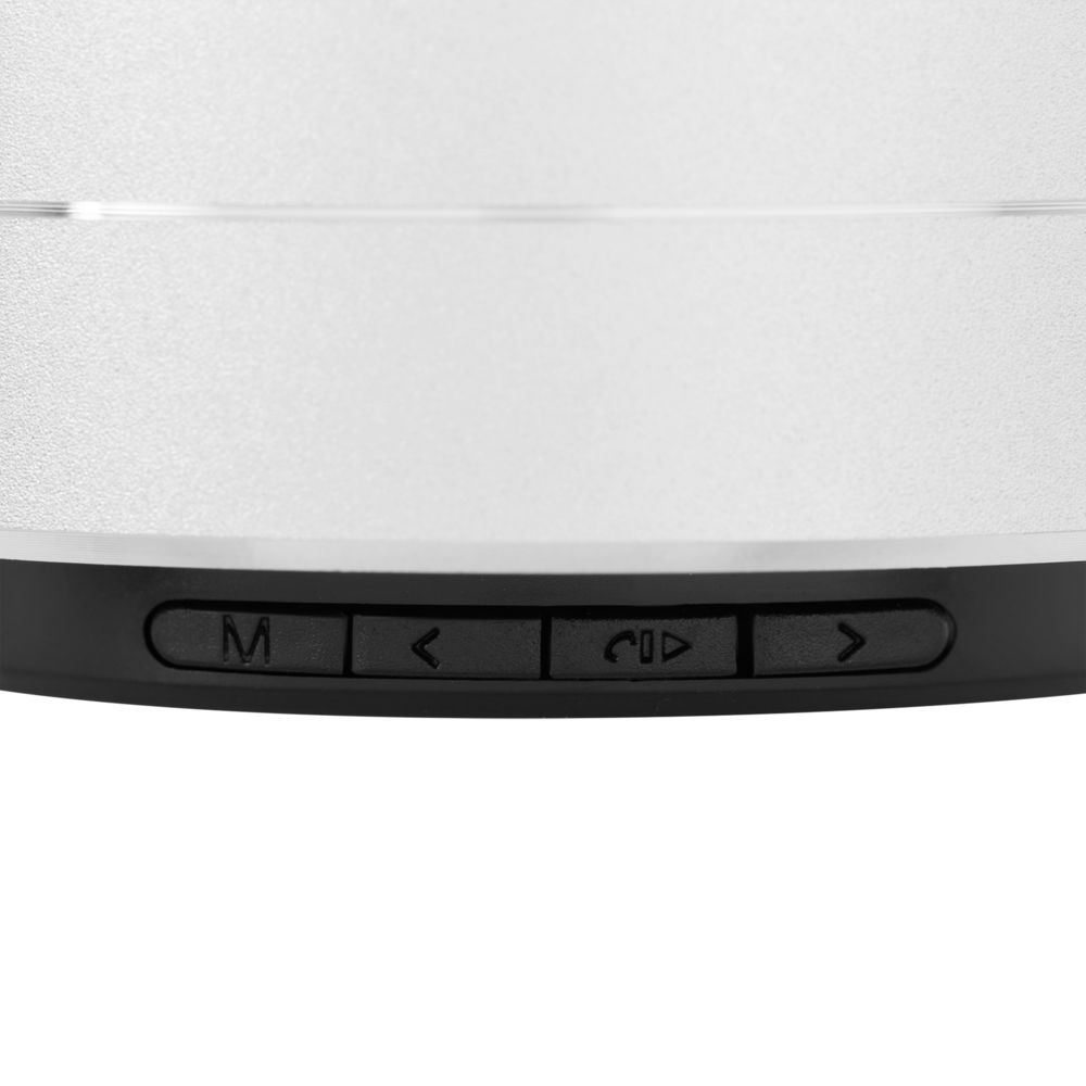 Беспроводная колонка Easy, серебристая / Миниатюра WWW (1000)