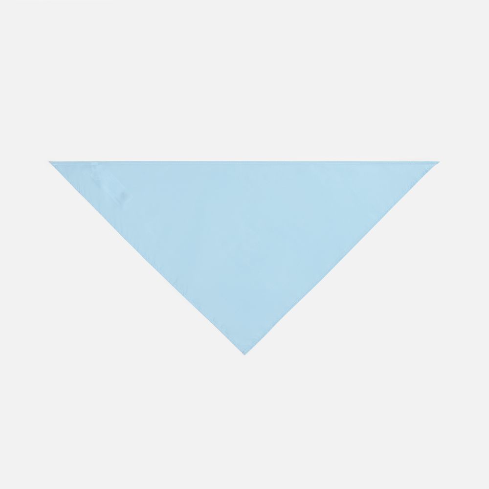 Шейный платок Bandana, голубой / Миниатюра WWW (1000)