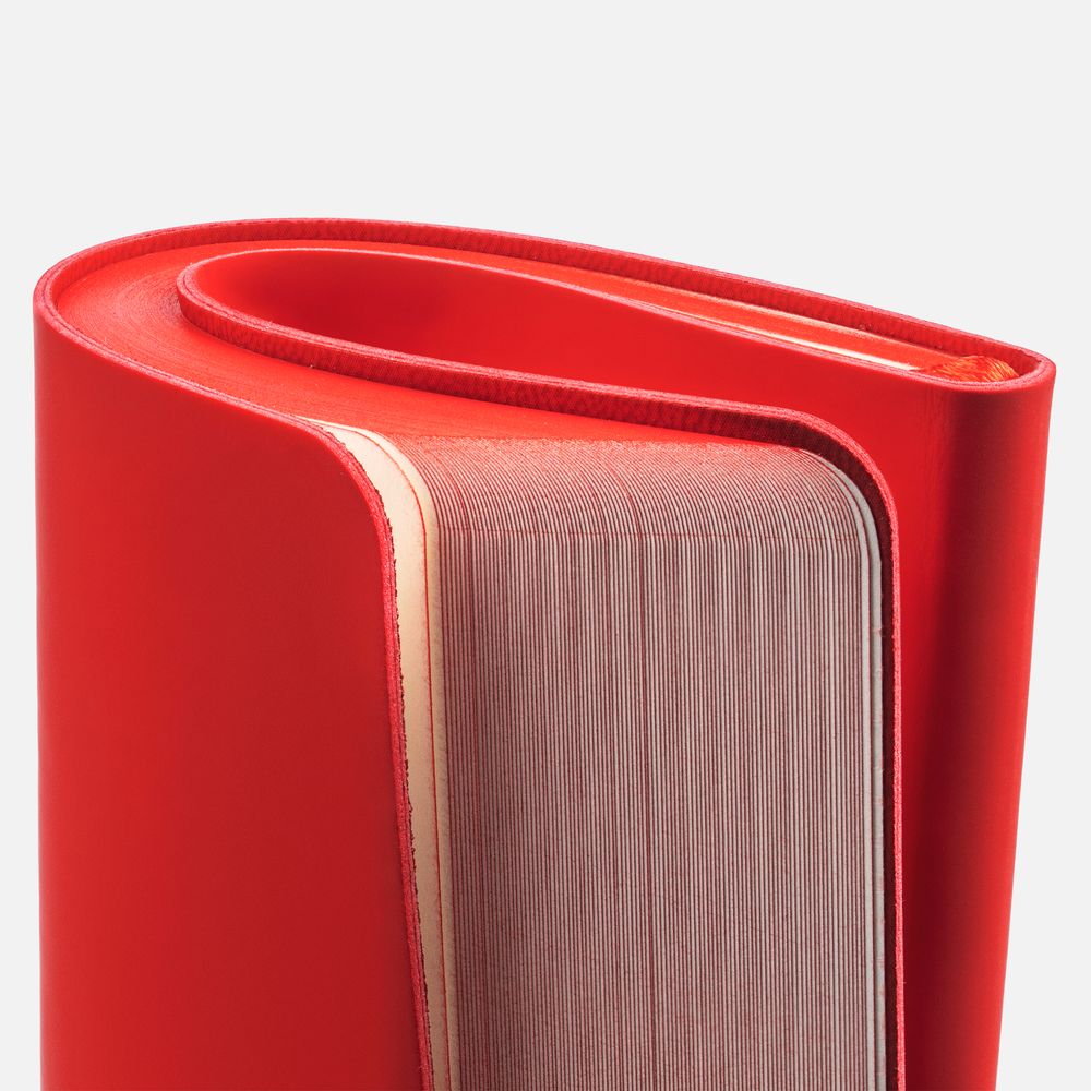 Ежедневник Shall Light, недатированный, красный / Миниатюра WWW (1000)