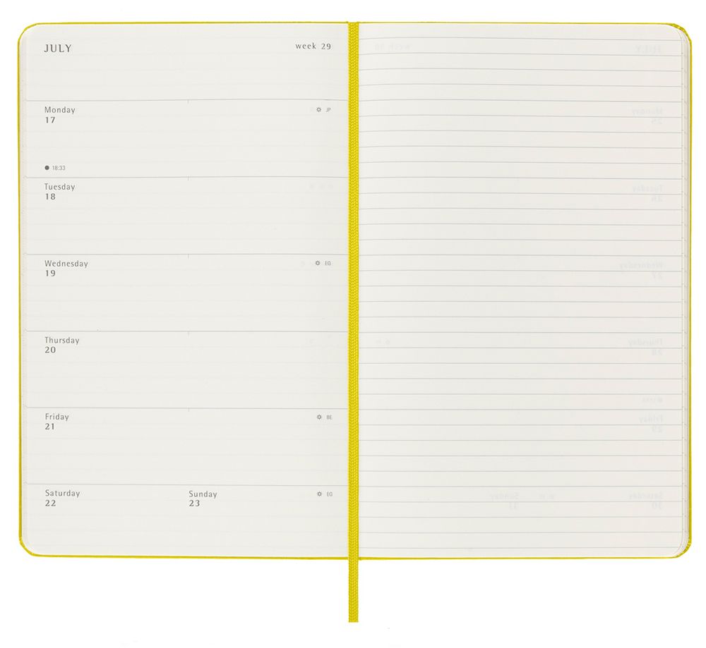 Еженедельник Moleskine Classic Large, датированный, желто-зеленый (лайм) / Миниатюра WWW (1000)