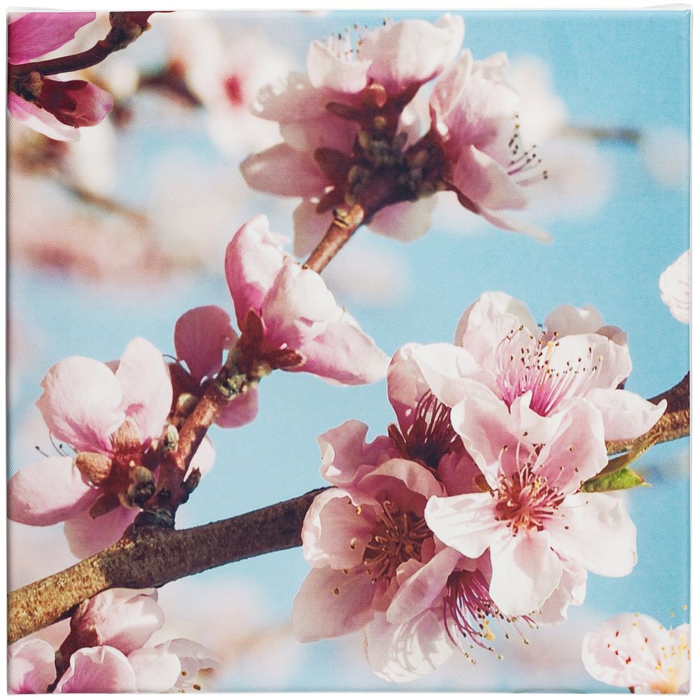 Настенная композиция «Цветение» / Миниатюра WWW (1000)