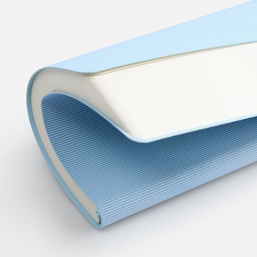 Ежедневник Vale New, недатированный, голубой / Миниатюра WWW (1000)