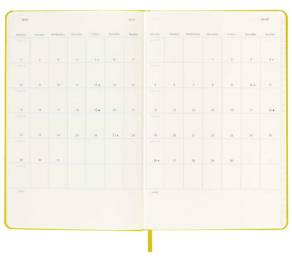 Еженедельник Moleskine Classic Large, датированный, желто-зеленый (лайм) / Миниатюра WWW (1000)