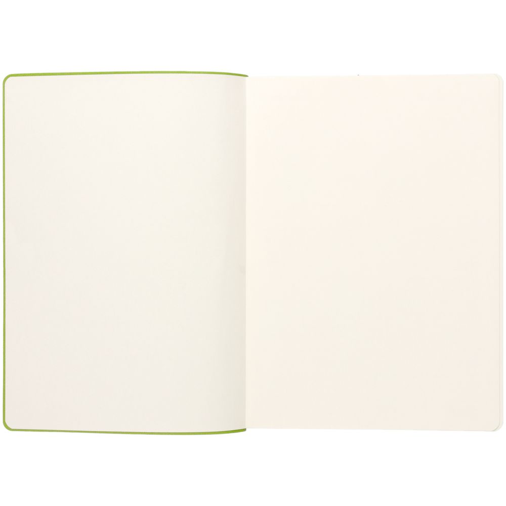 Ежедневник Flexpen, недатированный, серебристо-зеленый / Миниатюра WWW (1000)
