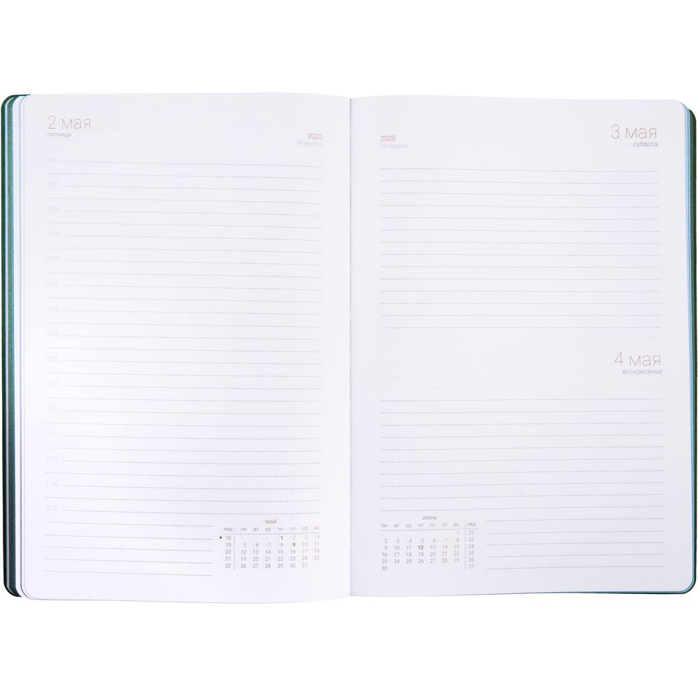 Ежедневник Flexpen Color, датированный, зеленый / Миниатюра WWW (1000)