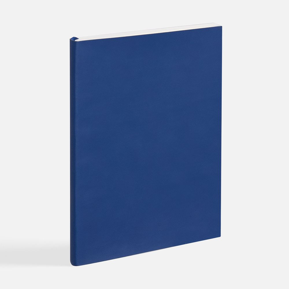Ежедневник Flat Light ver.2, недатированный, синий / Миниатюра WWW (1000)