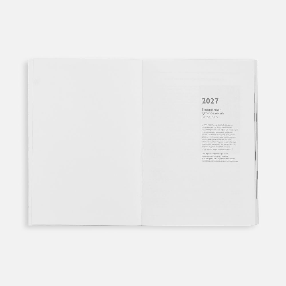 Ежедневник Baza, датированный, серый / Миниатюра WWW (1000)