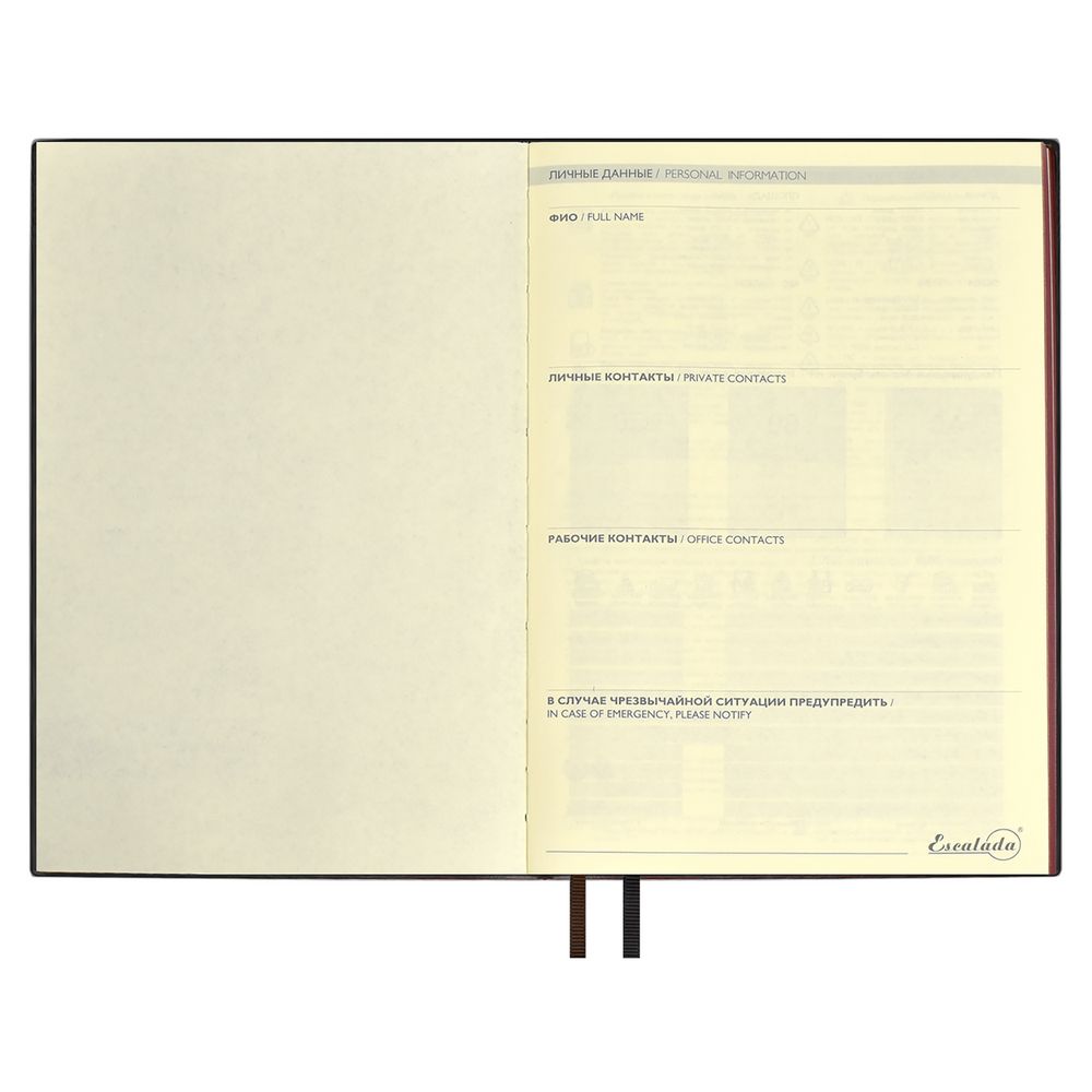 Ежедневник Avila, недатированный, коричневый / Миниатюра WWW (1000)