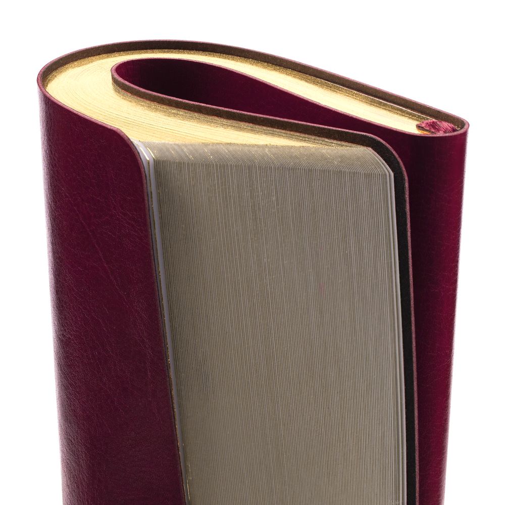 Ежедневник Nebraska Flex, недатированный, бордовый с золотистым / Миниатюра WWW (1000)