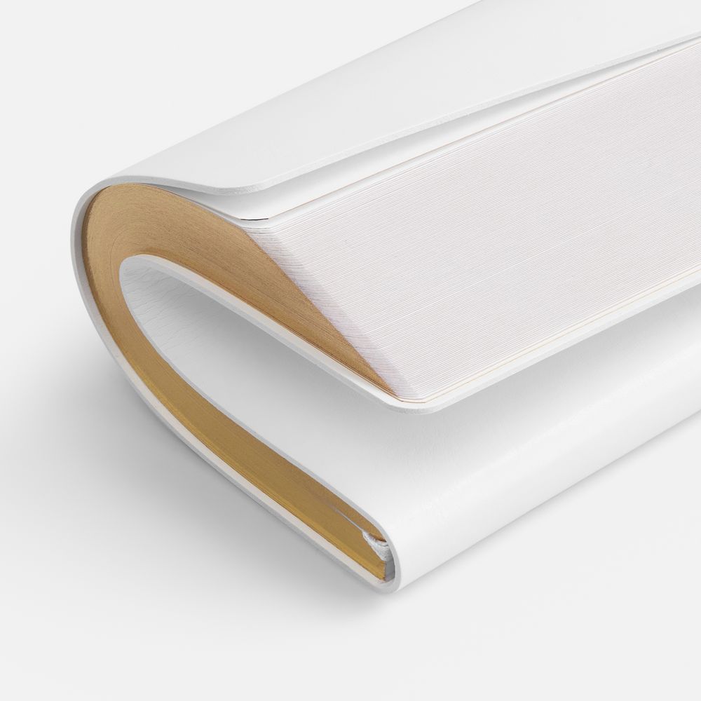 Ежедневник Nebraska Flex, недатированный, белый с золотистым / Миниатюра WWW (1000)