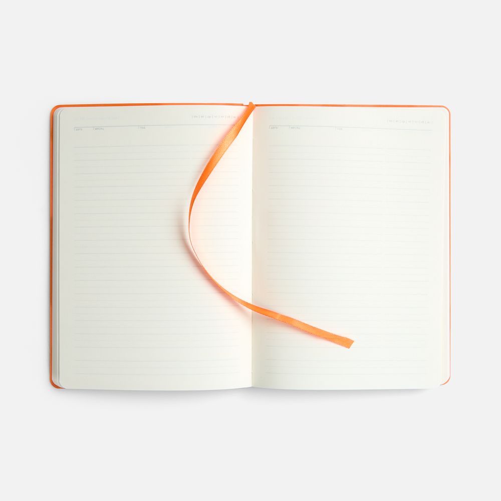 Ежедневник Vale New, недатированный, оранжевый / Миниатюра WWW (1000)