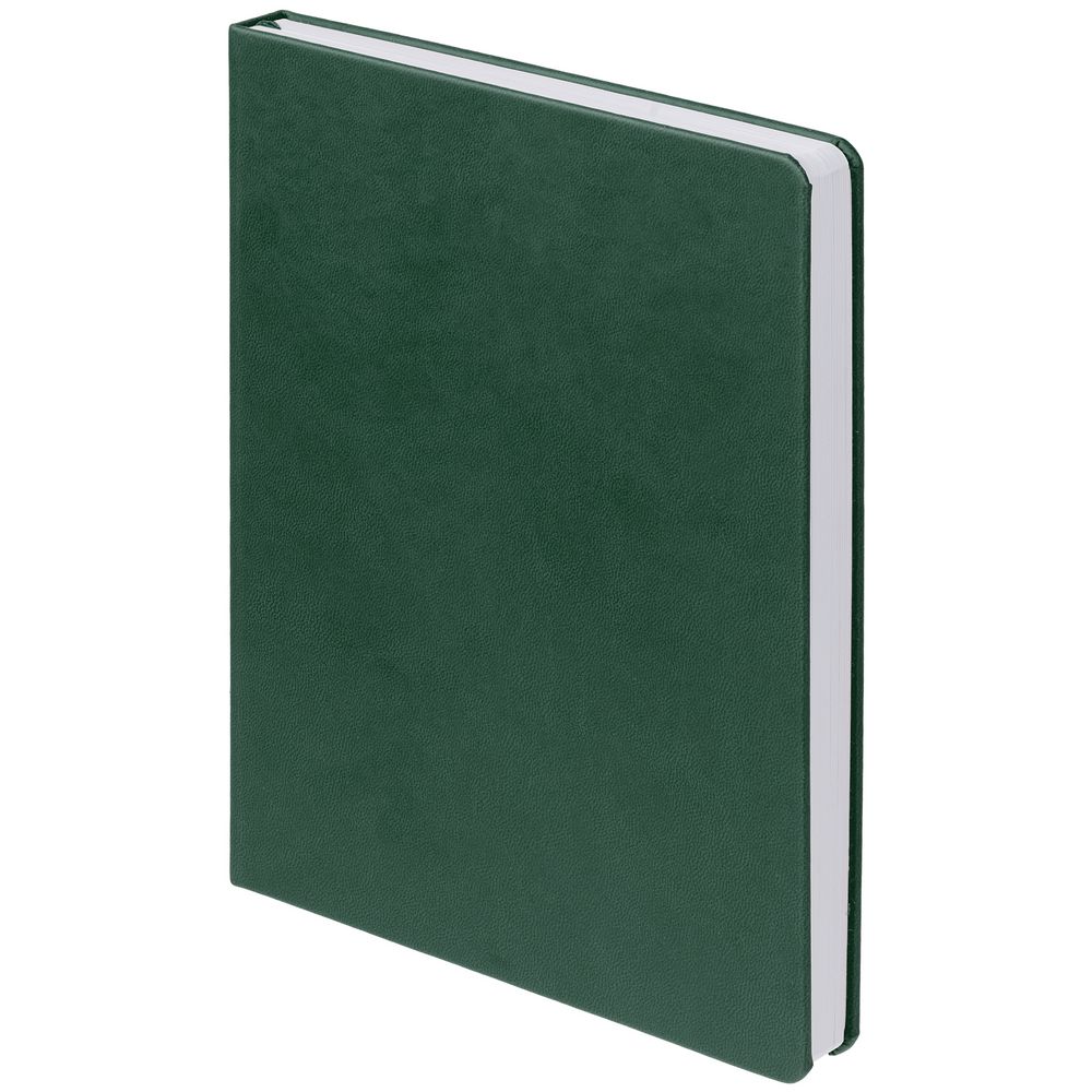 Ежедневник New Brand, недатированный, зеленый / Миниатюра WWW (1000)