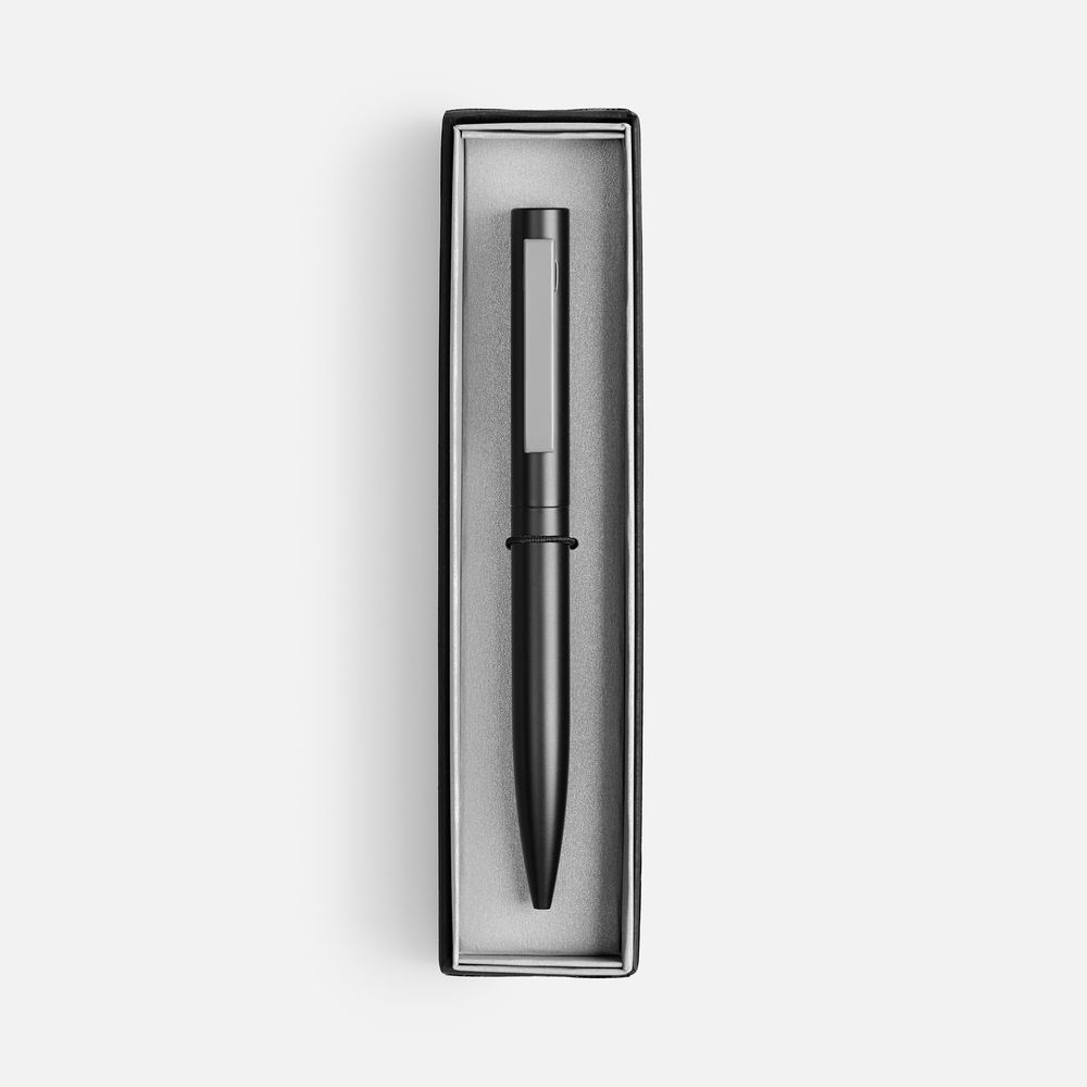 Ручка шариковая Inkolor в футляре, черная с серым / Миниатюра WWW (1000)