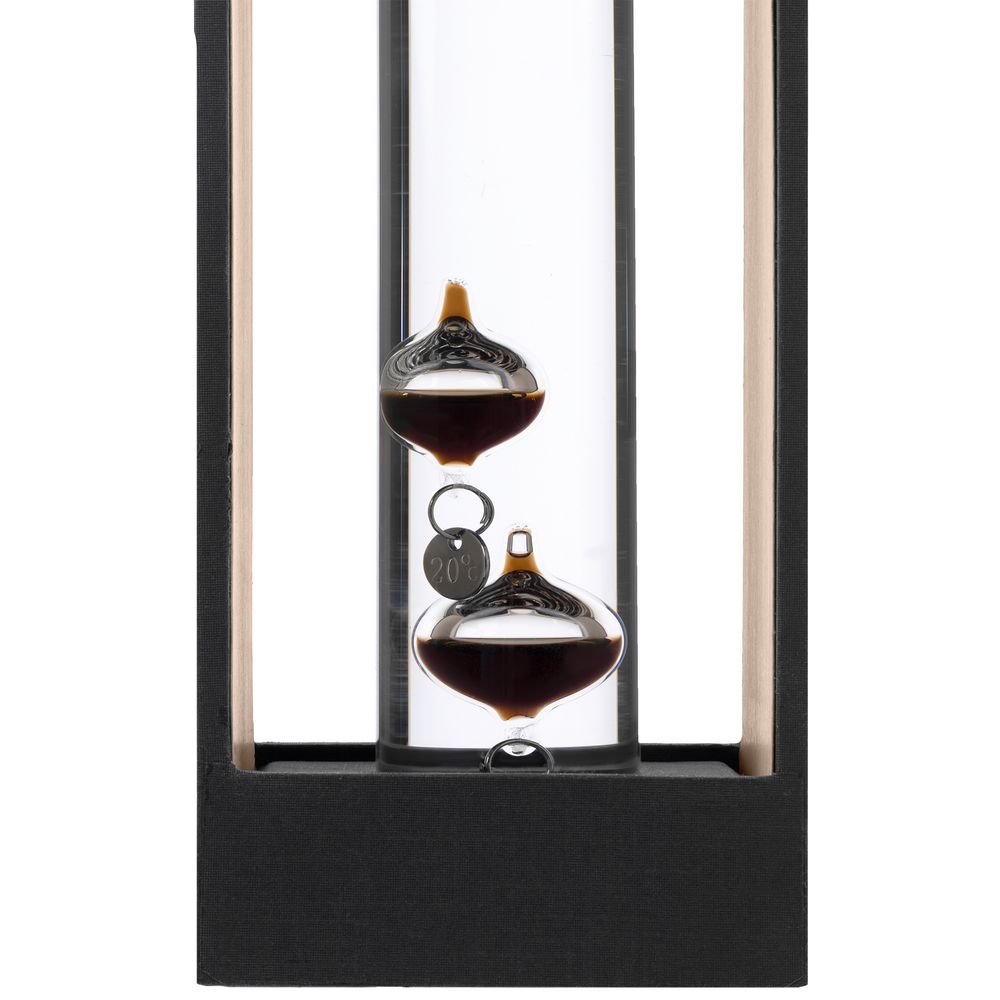 Термометр «Галилео Галилей» / Миниатюра WWW (1000)