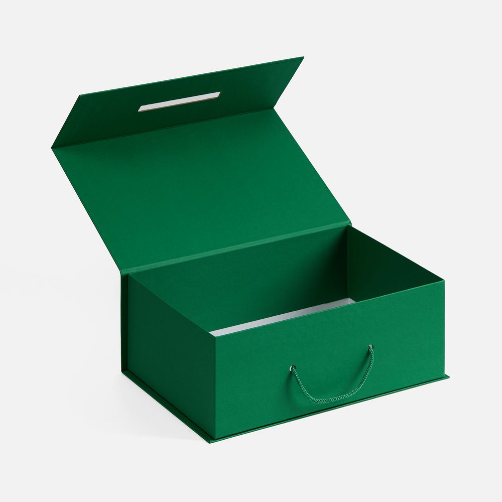 Коробка New Case, зеленая / Миниатюра WWW (1000)