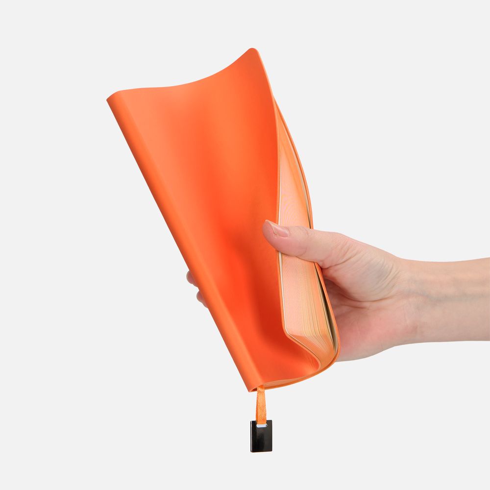 Ежедневник Shall Light, недатированный, оранжевый / Миниатюра WWW (1000)