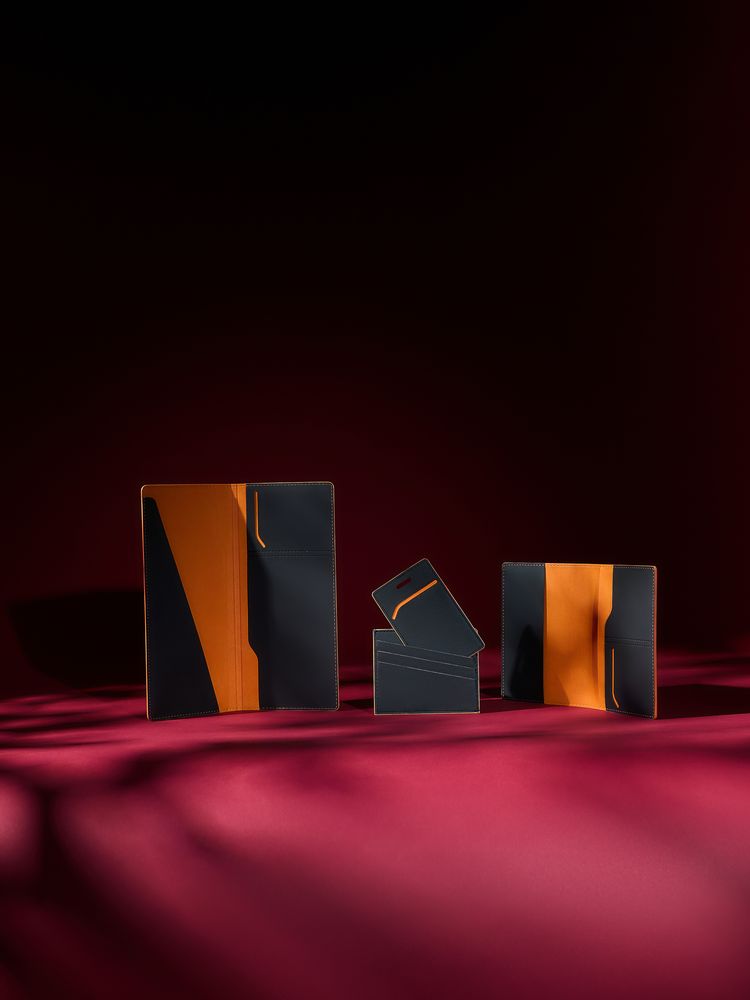 Дорожный органайзер Multimo, черный с оранжевым / Миниатюра WWW (1000)