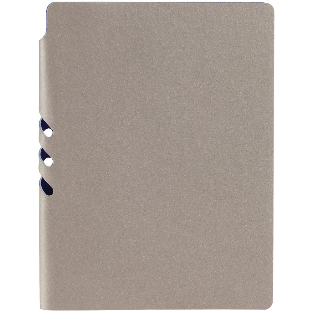 Ежедневник Flexpen, недатированный, серебристо-синий / Миниатюра WWW (1000)