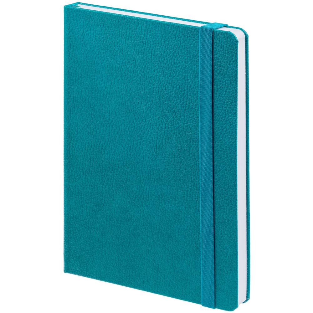 Ежедневник Nova, недатированный, бирюзовый / Миниатюра WWW (1000)