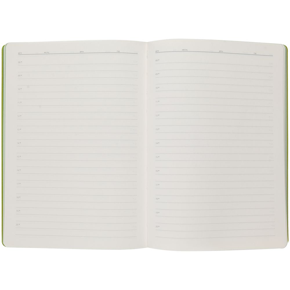 Ежедневник Flexpen, недатированный, серебристо-зеленый / Миниатюра WWW (1000)