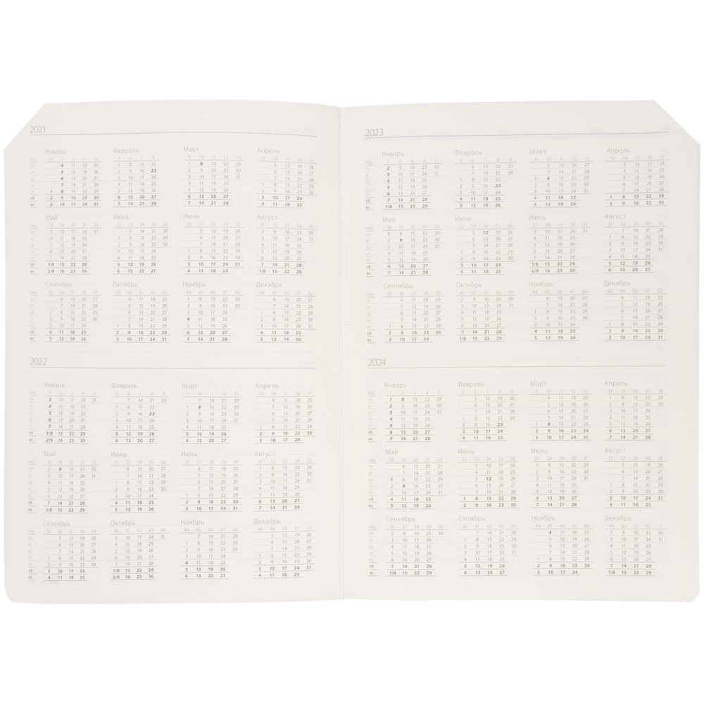 Ежедневник Tenax, недатированный, голубой / Миниатюра WWW (1000)