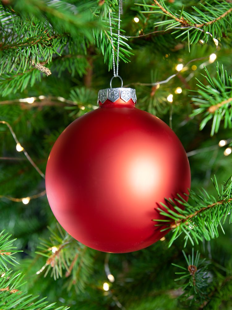 Елочный шар Finery Matt, 10 см, матовый красный / Миниатюра WWW (1000)