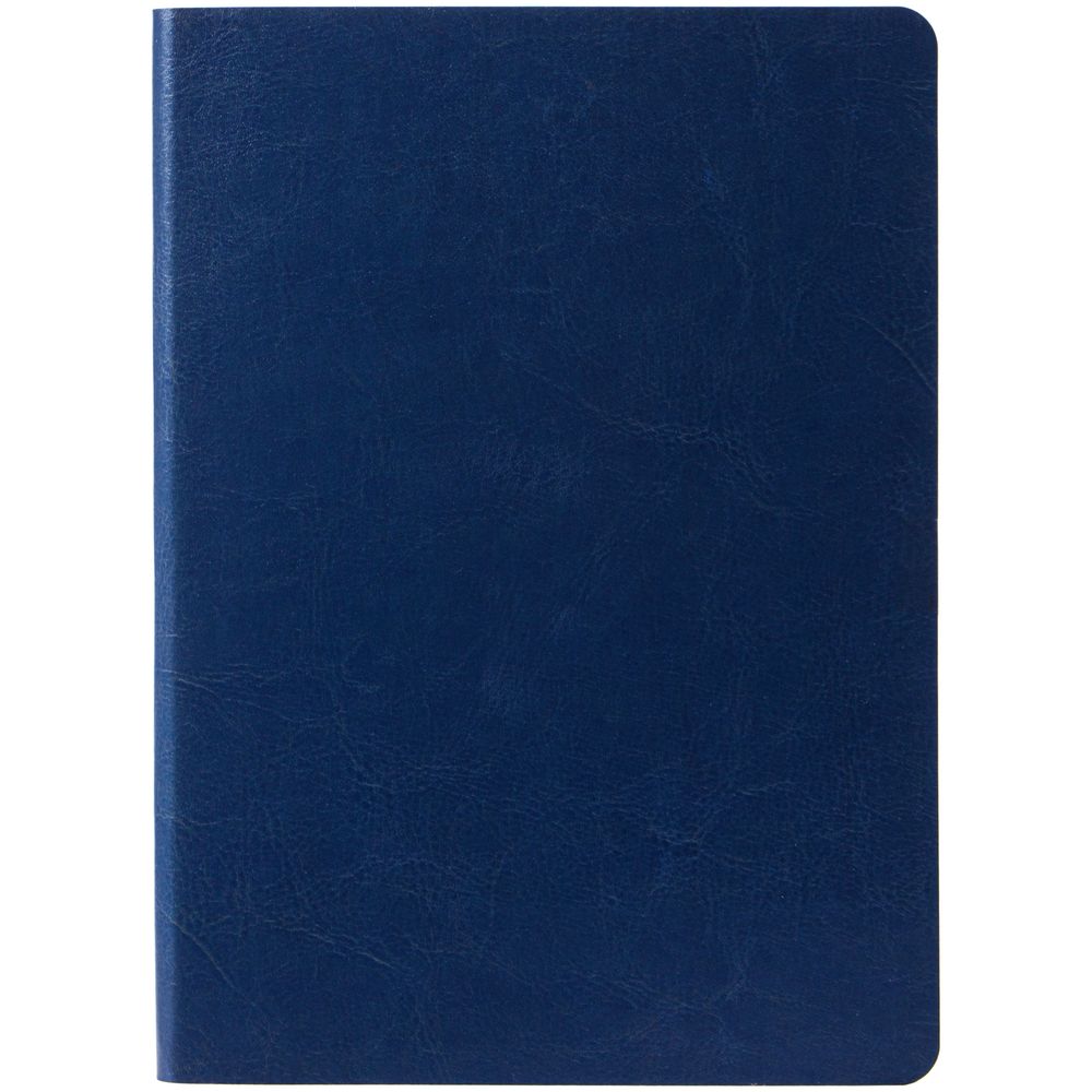 Ежедневник Nebraska Flex, недатированный, синий с серебром / Миниатюра WWW (1000)