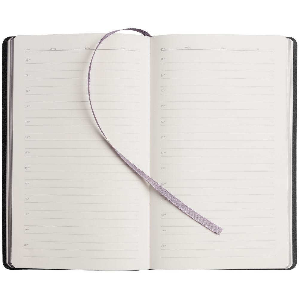 Ежедневник My Day, недатированный, серебристый / Миниатюра WWW (1000)