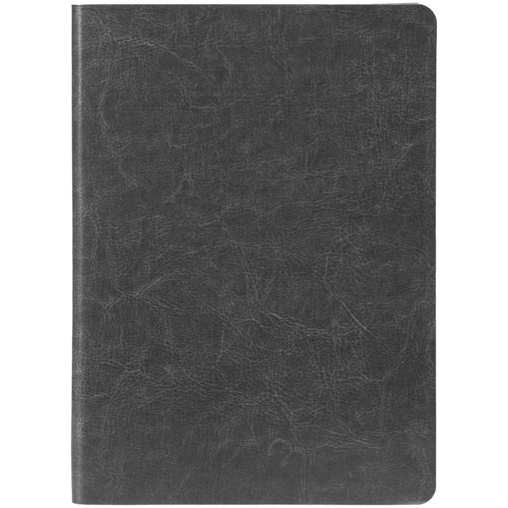 Ежедневник Nebraska Flex, недатированный, серебристый / Миниатюра WWW (1000)