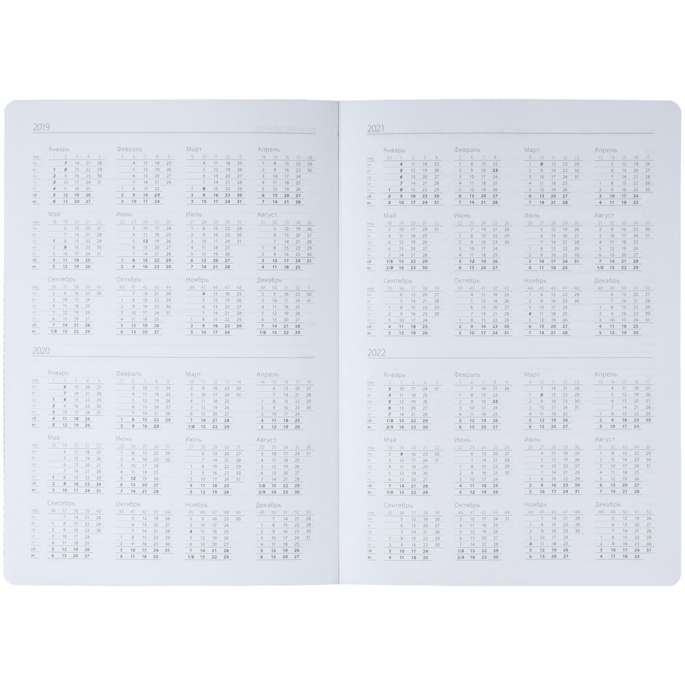 Ежедневник Big Data, недатированный, синий / Миниатюра WWW (1000)