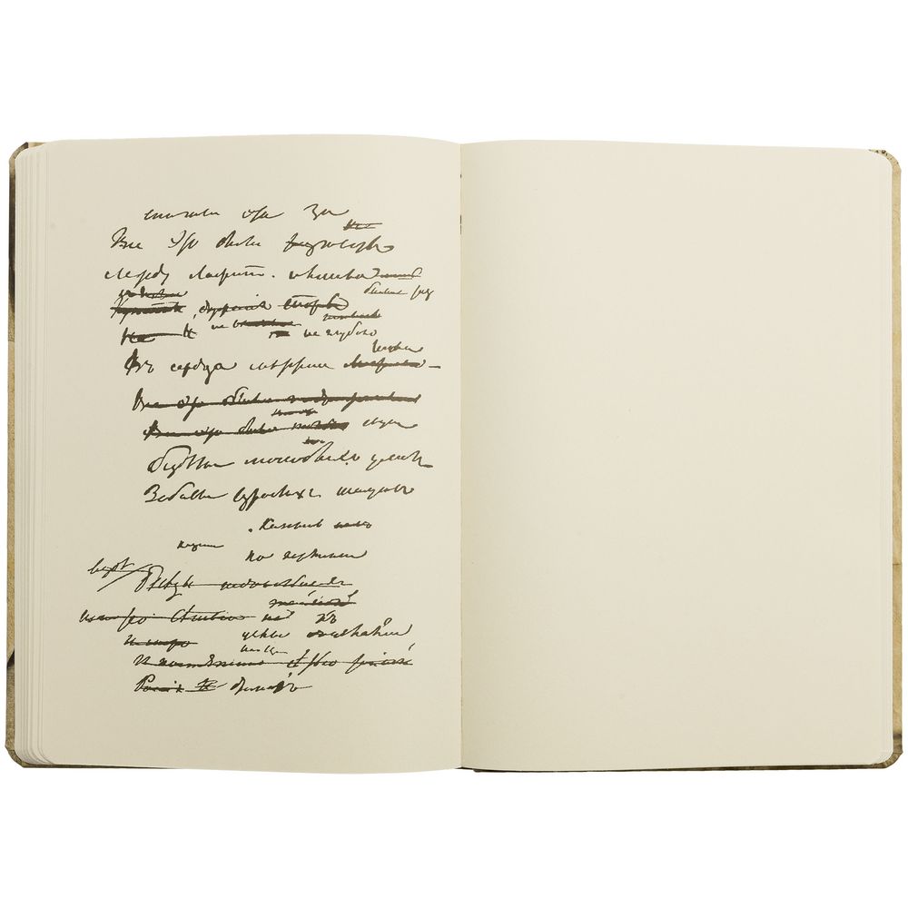 Блокнот «Рукописи» / Миниатюра WWW (1000)