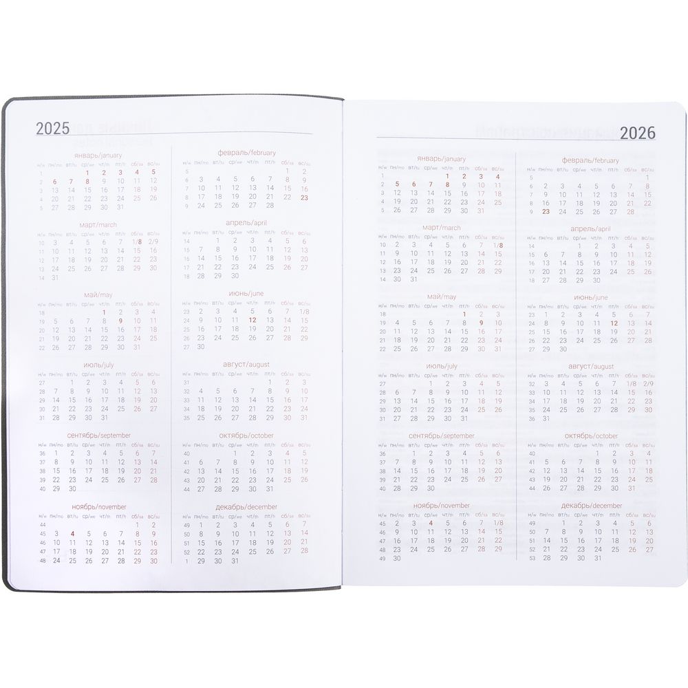 Ежедневник Flexpen Color, датированный, серый / Миниатюра WWW (1000)