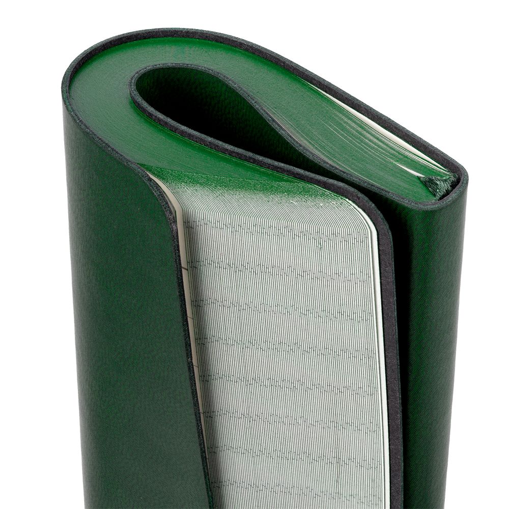 Ежедневник Neat Mini, недатированный, зеленый / Миниатюра WWW (1000)