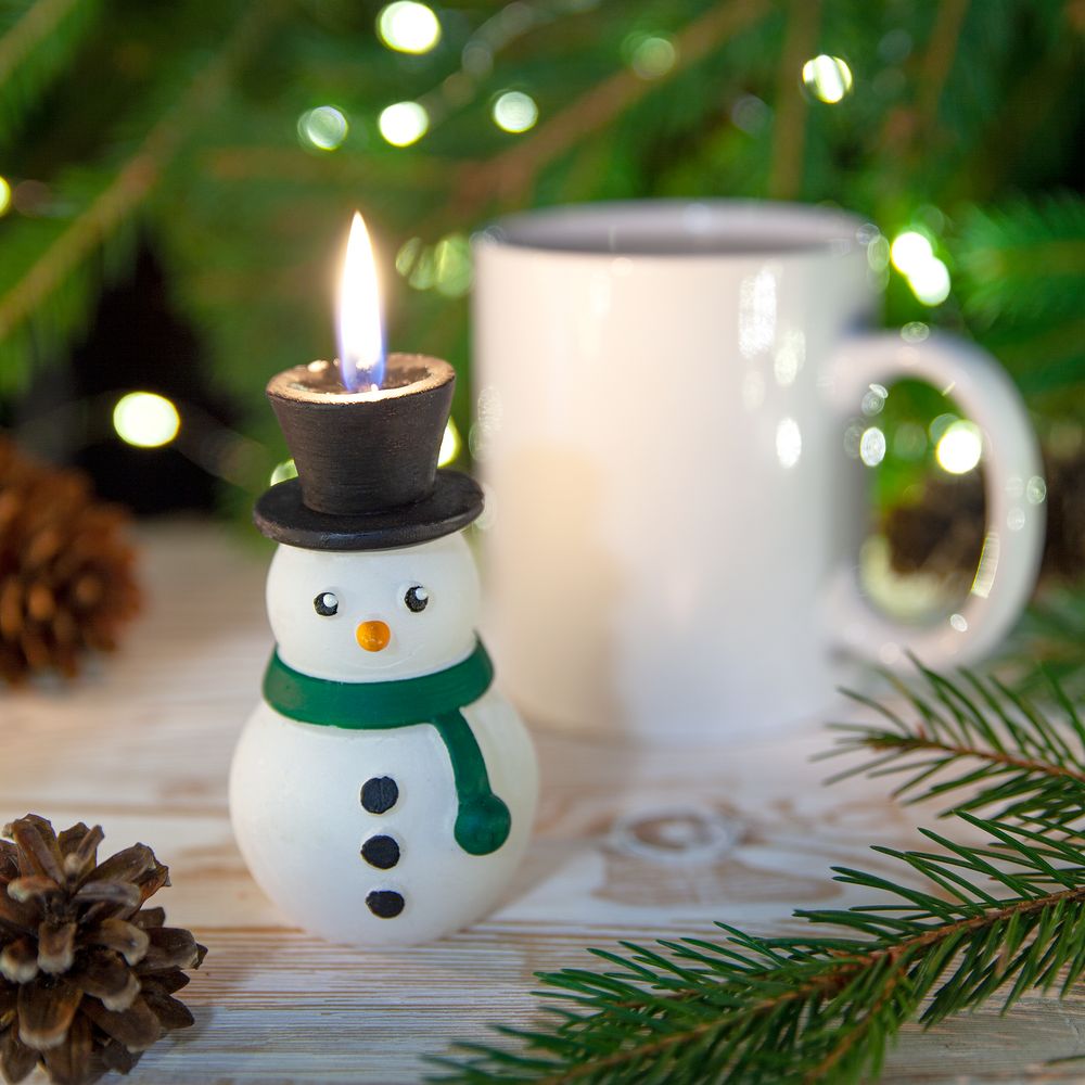 Набор «Домик Снеговика» / Миниатюра WWW (1000)