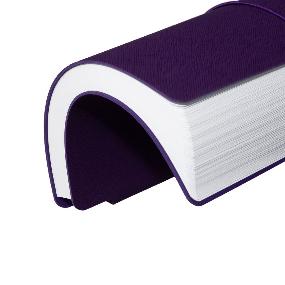 Ежедневник Flexpen Bright, недатированный, фиолетовый / Миниатюра WWW (1000)