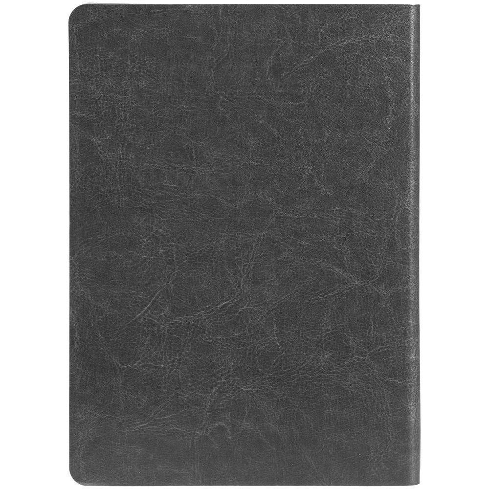 Ежедневник Nebraska Flex, недатированный, серебристый / Миниатюра WWW (1000)