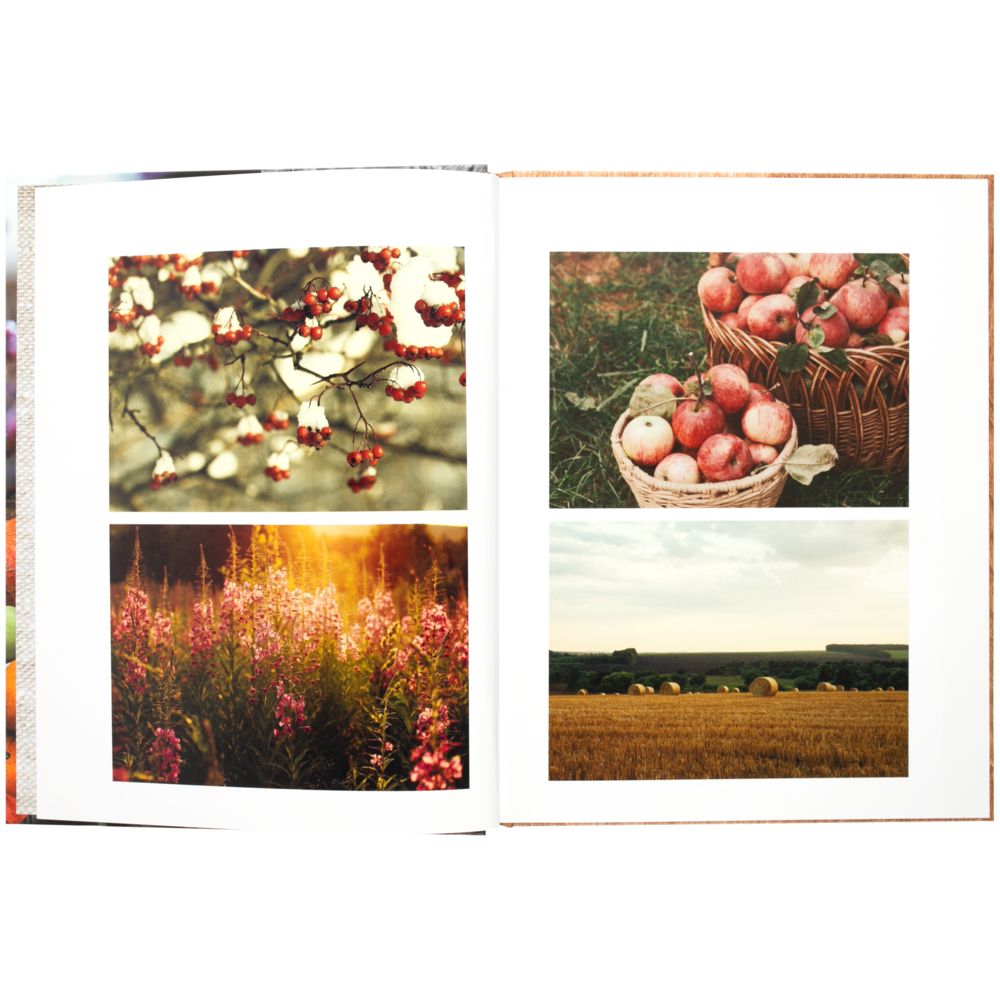 Книга «О чем мечтают мужчины. Уютные рецепты домашней кулинарии на весь год» / Миниатюра WWW (1000)