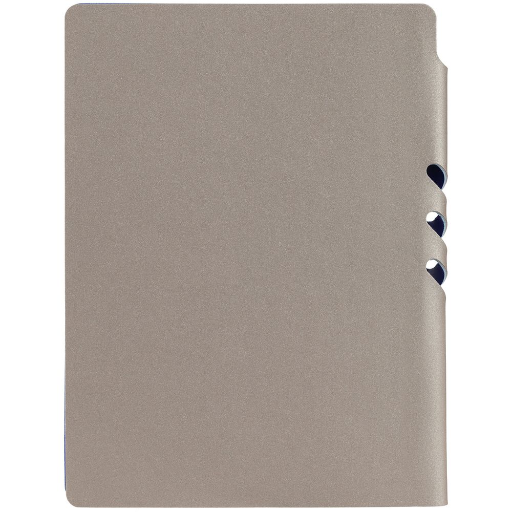 Ежедневник Flexpen, недатированный, серебристо-синий / Миниатюра WWW (1000)