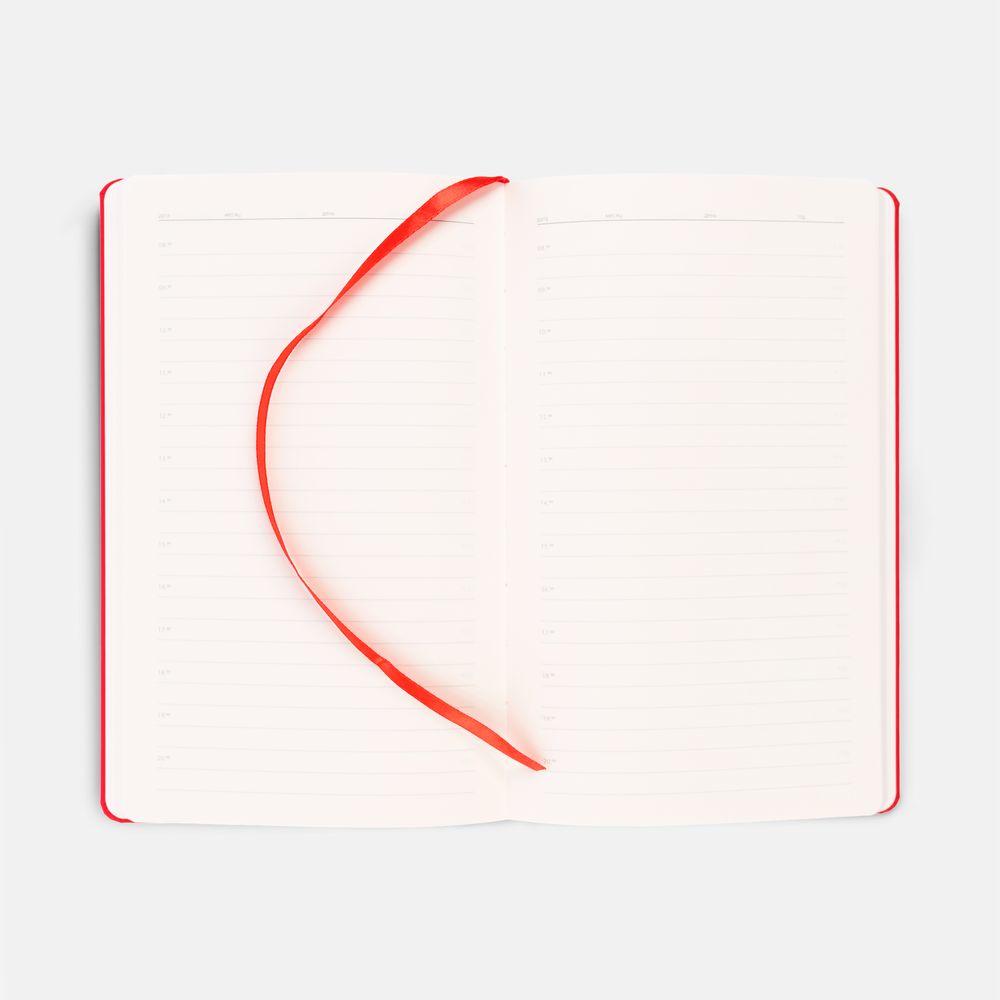 Ежедневник Magnet Shall с ручкой, красный / Миниатюра WWW (1000)