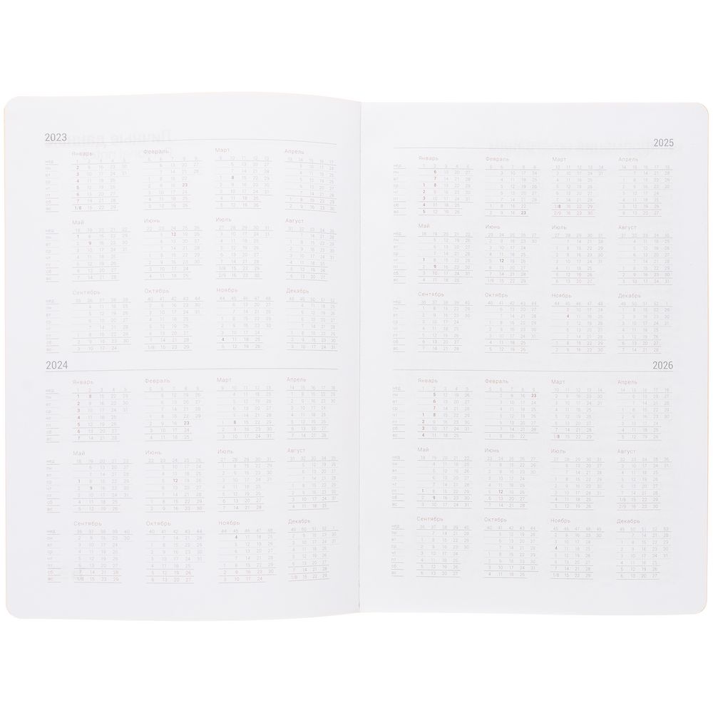 Ежедневник New Factor Metal, оранжевый / Миниатюра WWW (1000)